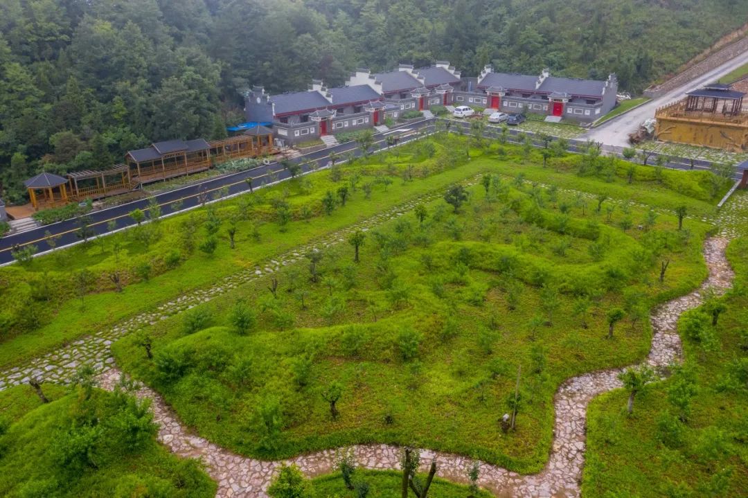 马桥镇这个村，不仅把矿山建成了乐园，还让矿区变成了花海