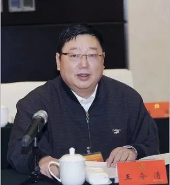 地方视角：提升科协系统组织力