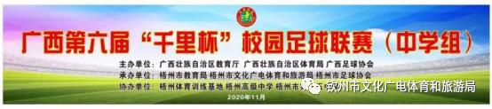 广西第六届千里杯比赛视频,广西第三届百县杯足球比赛