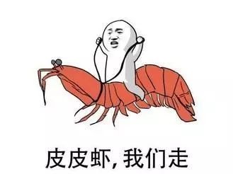 庭审过程从哪可以看,最真实的庭审视频