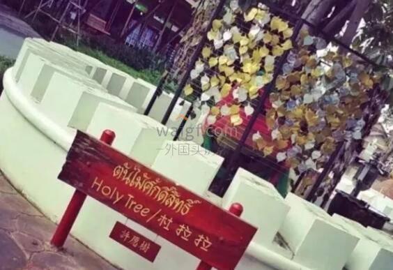 过来人告知你芭提雅的N+1种玩法