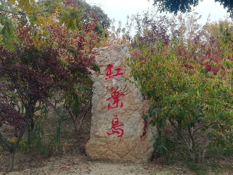 天津马场道玩的地方,天津遛娃好去处