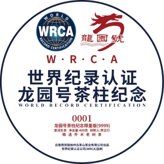 WRCA×龙园号：“世界最大的可移动茶柱”通过世界纪录认证