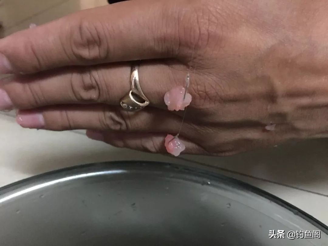 黑坑禁用红虫用什么代替,黑坑红虫肉夹馍好用还是纯红虫