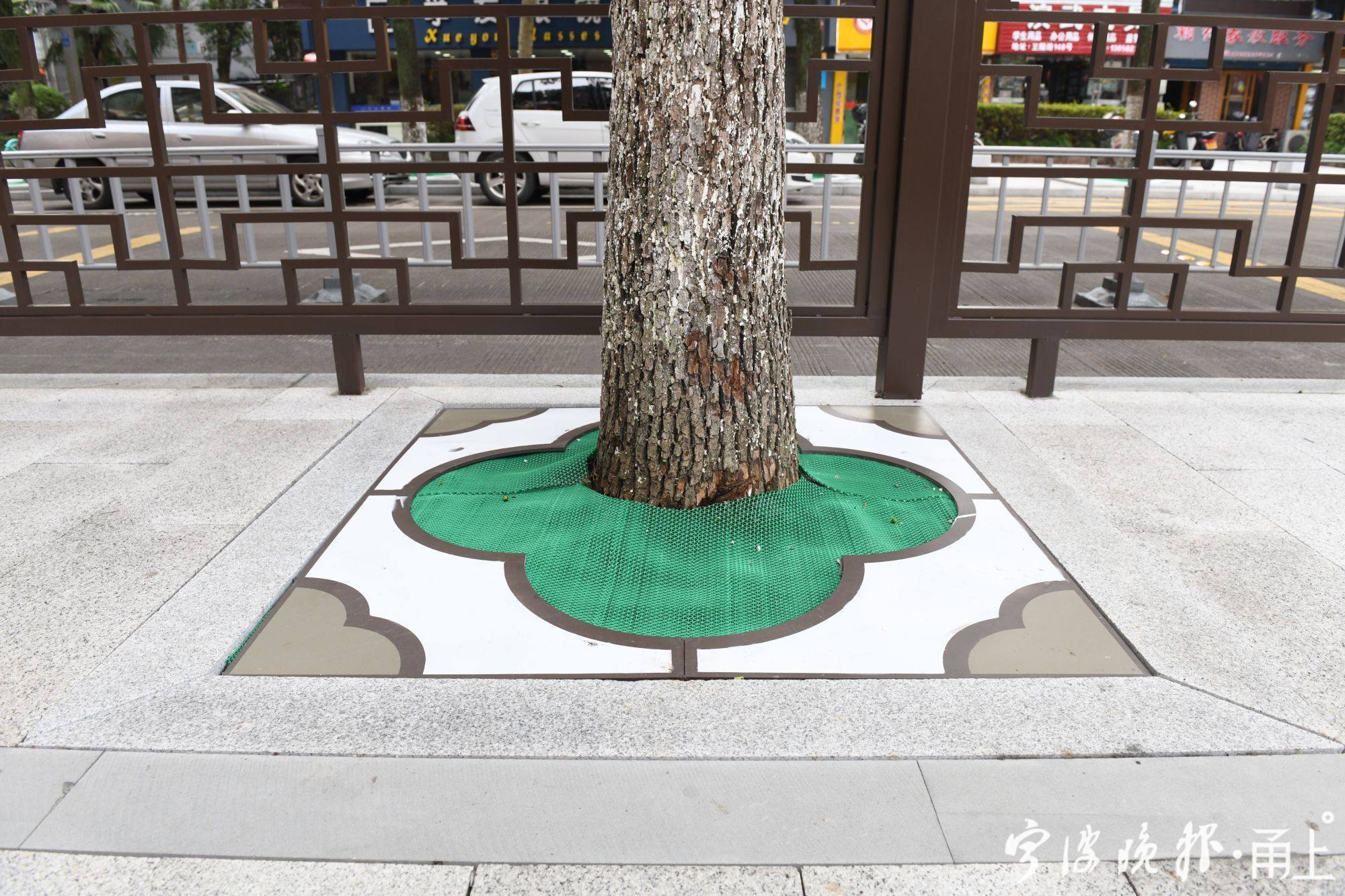宁波鄞州的最美公路,宁波鄞州区最美的路