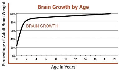 孩子有这四个毛病是高智商的表现,一岁8个月宝宝高智商的表现