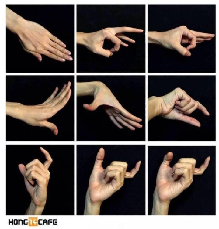 绘画简单的手部,画画小助手又简单又萌又好看