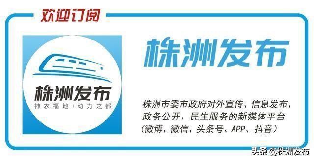 株洲一模四查最新消息,株洲防疫监测