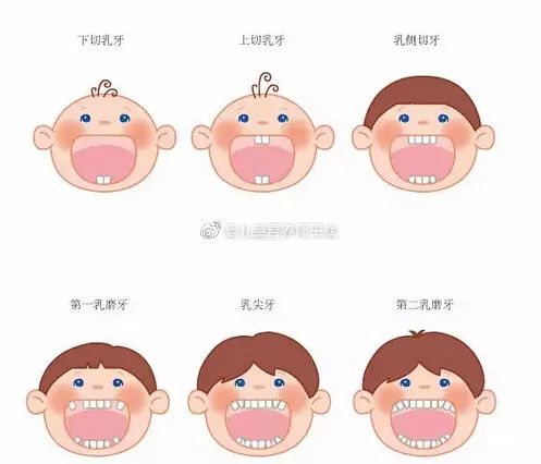 宝宝体质弱要怎样喂养,宝宝喂养困难这几招帮你轻松搞定