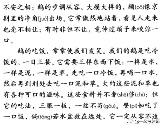 教资笔试40分教学设计图解,教资教学设计40分