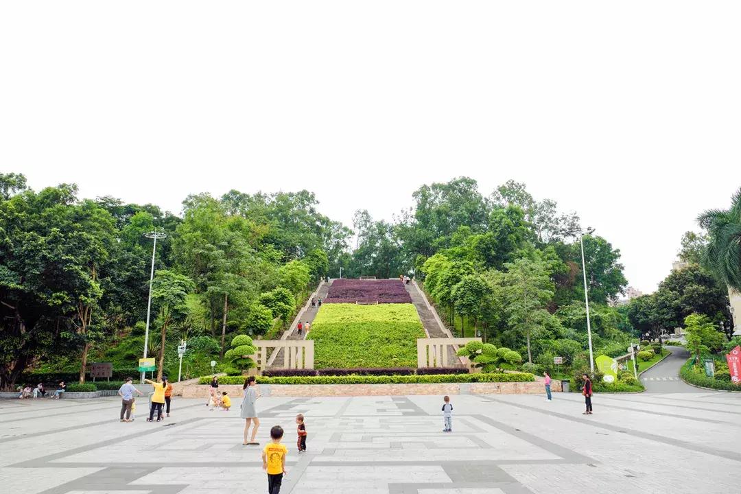 这里是石岩