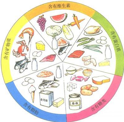 小孩脾胃差怎么调理最快,脾胃虚弱怎样养好脾胃