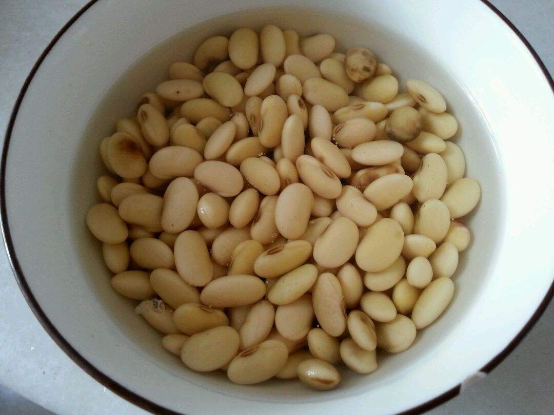 黄豆发酵浇花是磷肥还是氮肥,黄豆能当肥料养花吗