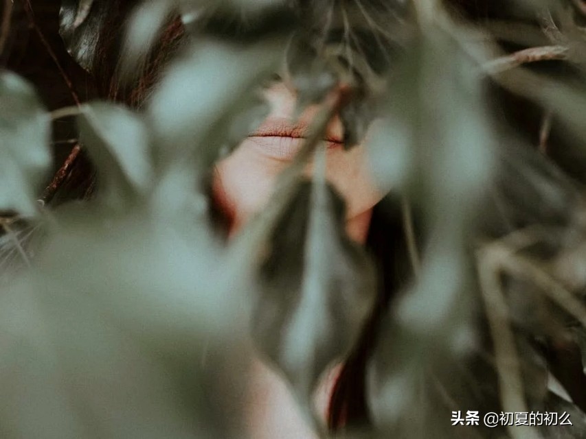 你别来我无恙的心酸句子,回复别来无恙的句子