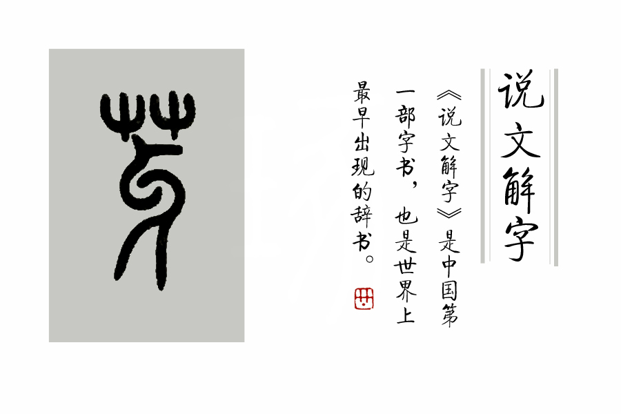 汉字说：“萌”和“芽”的区分是什么？