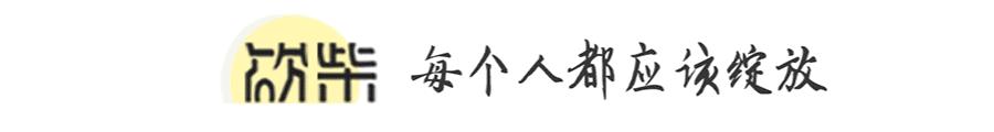 2017林生斌保姆纵火案完整视频,林生斌保姆纵火案死者几岁