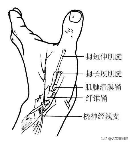 打非洲鼓手疼的几点分析玩非洲鼓手疼之原因