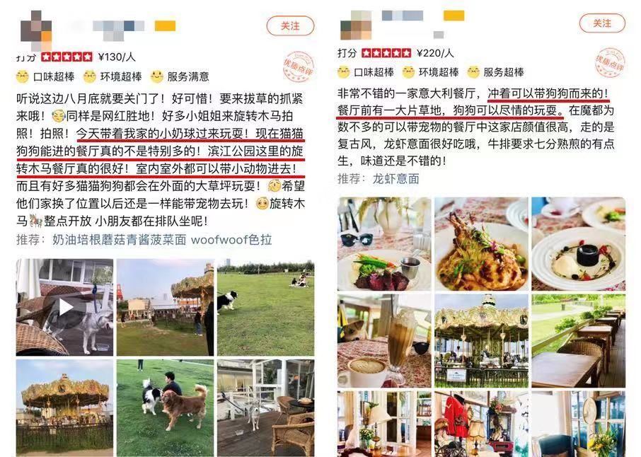 宠物比人吃得好,宠物比人金贵系列