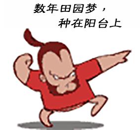 从播种开始养花,蘑菇种植方法及步骤