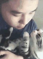 你可能不知道自己有多幸福,有猫陪伴的日子可真幸福