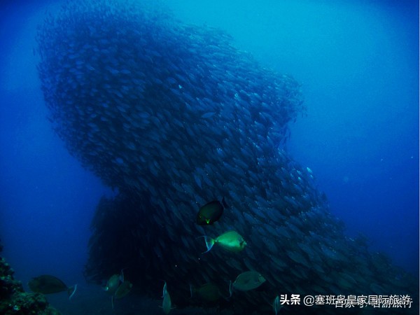 塞班岛自由行旅游攻略大全,塞班岛自由行攻略及项目价格