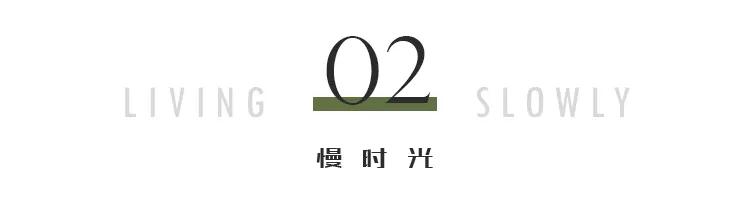 穿prada的时尚女魔头原型,穿prada的时尚女魔头
