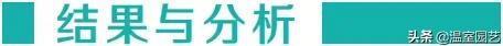 辣椒基质育苗肥哪里买,辣椒育苗基质怎么配制