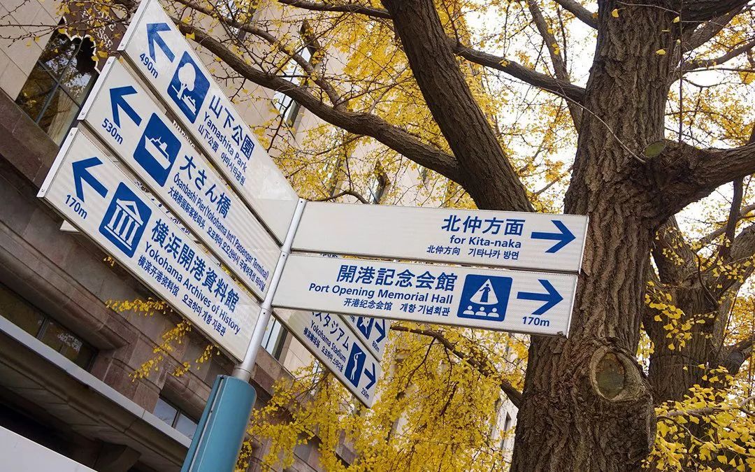 赴日留学需求什么条件,日本留学去哪个城市比较好