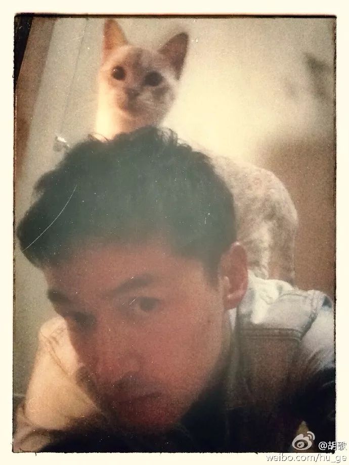 胡歌彭于晏和我,胡歌我和我的父辈