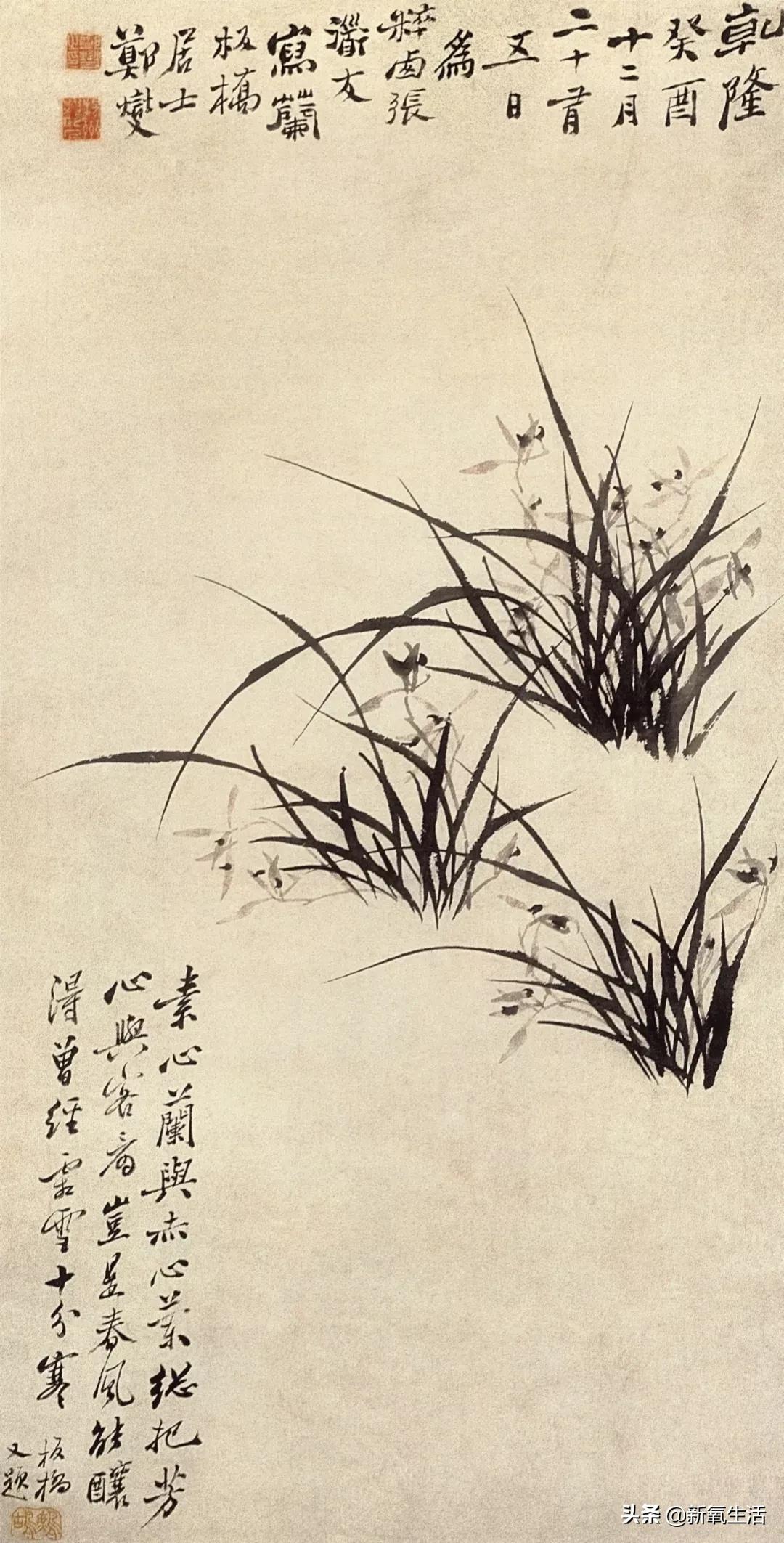 怪人郑板桥小说浏览,郑板桥卖书画