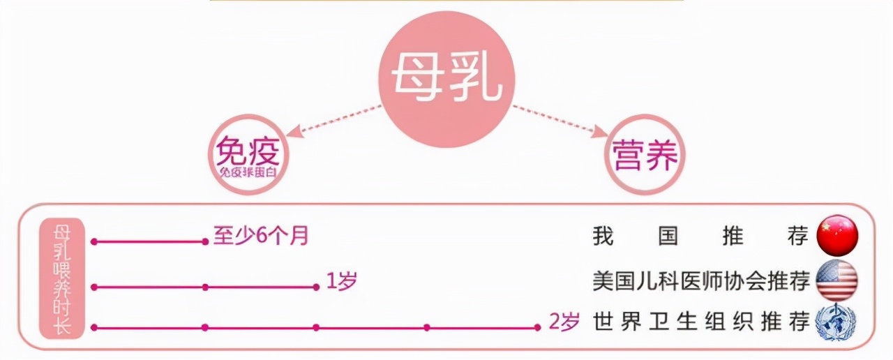 6个月后的母乳没有奶粉有营养吗,母乳几个月添加辅食比较好