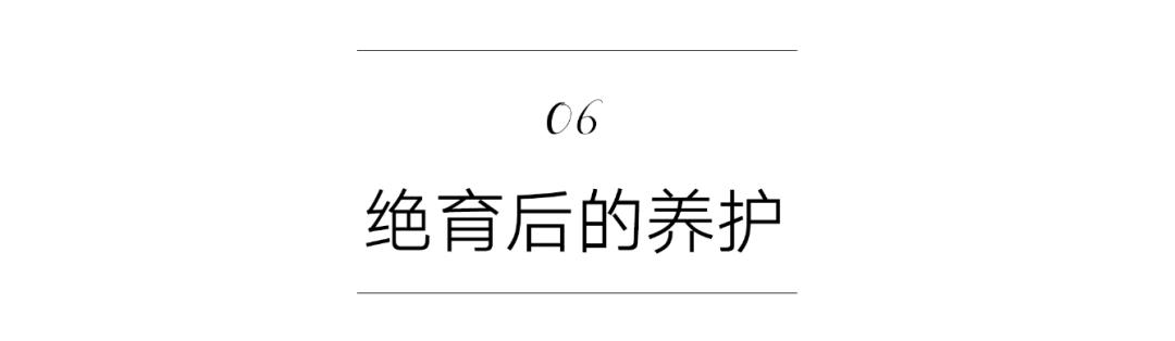 养猫必备猫咪绝育全攻略,新手养猫绝育攻略