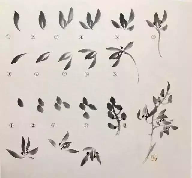 如何画兰花最好看的,君子兰花如何画