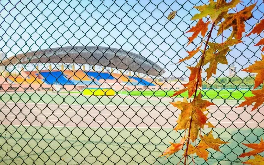 沈阳航空航天大学在辽宁省的地位,辽宁省沈阳航空航天大学在哪个区