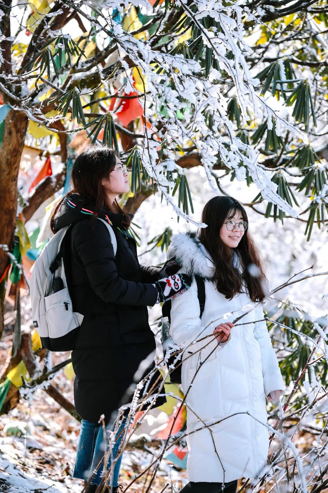 成都天台山景区自驾游攻略,成都天台山玩雪