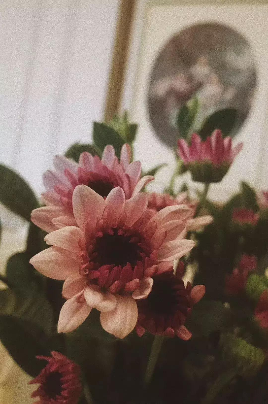 今天是中国的节日,今天是中国传统节日
