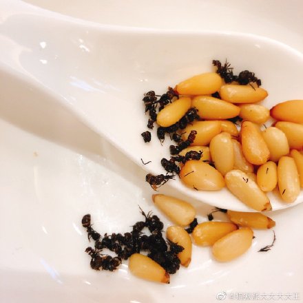 大学食堂黑暗料理大比拼,大学食堂黑暗料理大全