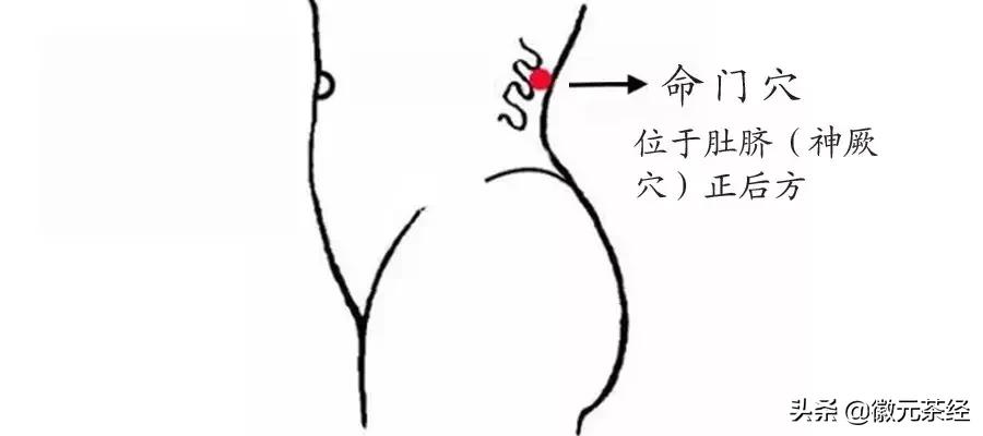 腊梅冬梅红梅三种有何区分,红梅和腊梅的区分详解