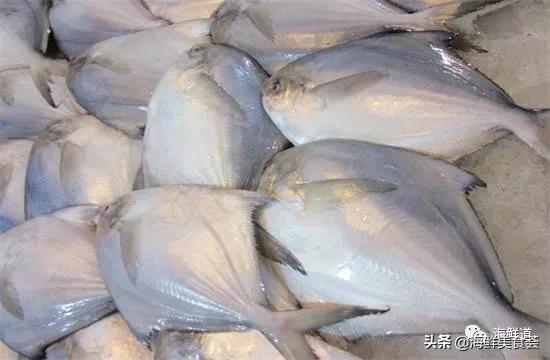 十种最美味海鲜,100种常见海鲜大全图