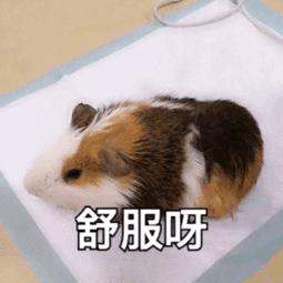 深圳将迎大到暴雨天气,深圳天气雨水降温原因