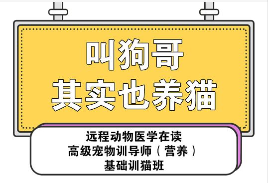 新冠igg检测结果均为阴性igm阳性,新冠血清抗体检测弱阳性