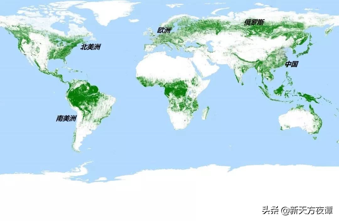国家植树造林,世界植树造林国家排行榜