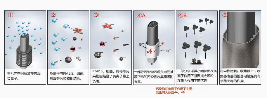 一文读懂核磁共振,一文带你深度解析