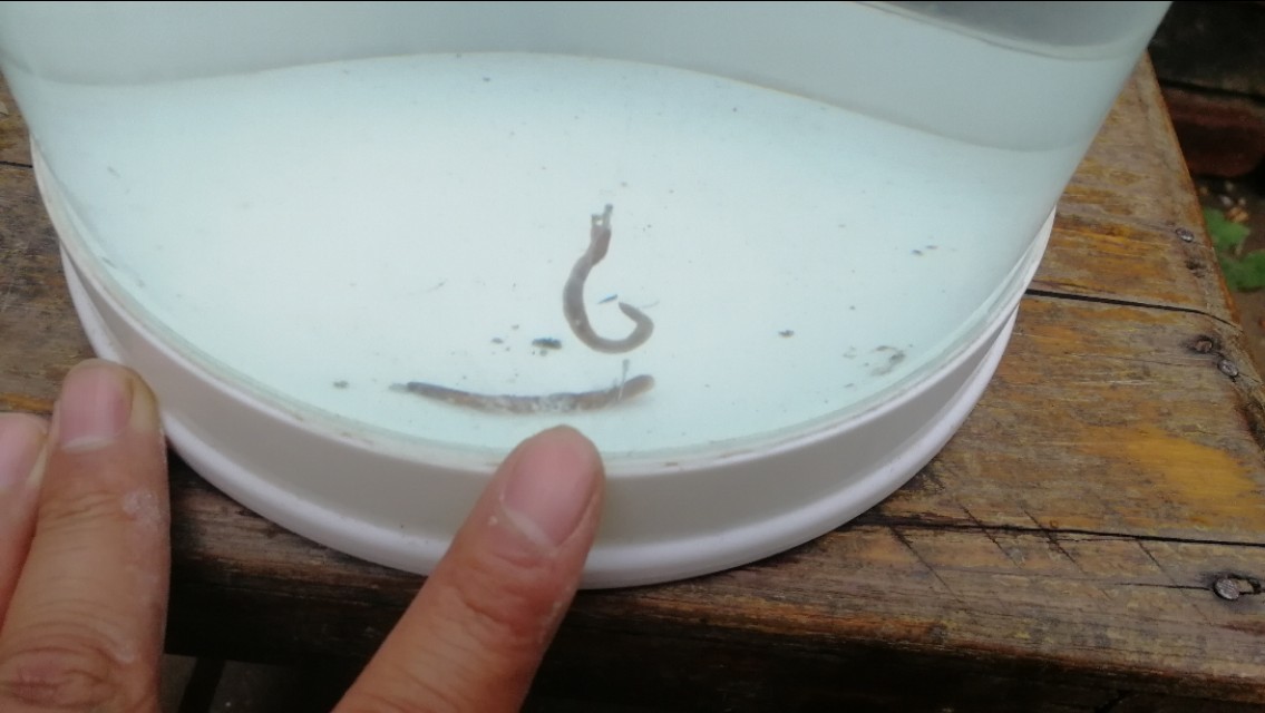 防止浮漂走水最好的方法,粗浮漂抗走水还是细浮漂抗走水