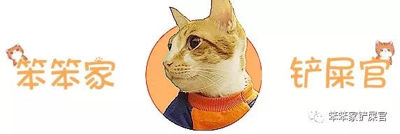 被猫抓了怎么办？：与其担心狂犬病，不如注意猫抓热