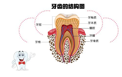 为什么会牙痛？喝冷饮牙痛是怎么回事？