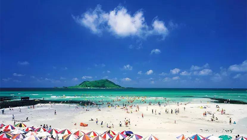 6月23日-28日，中韩影视高研班济州岛之旅