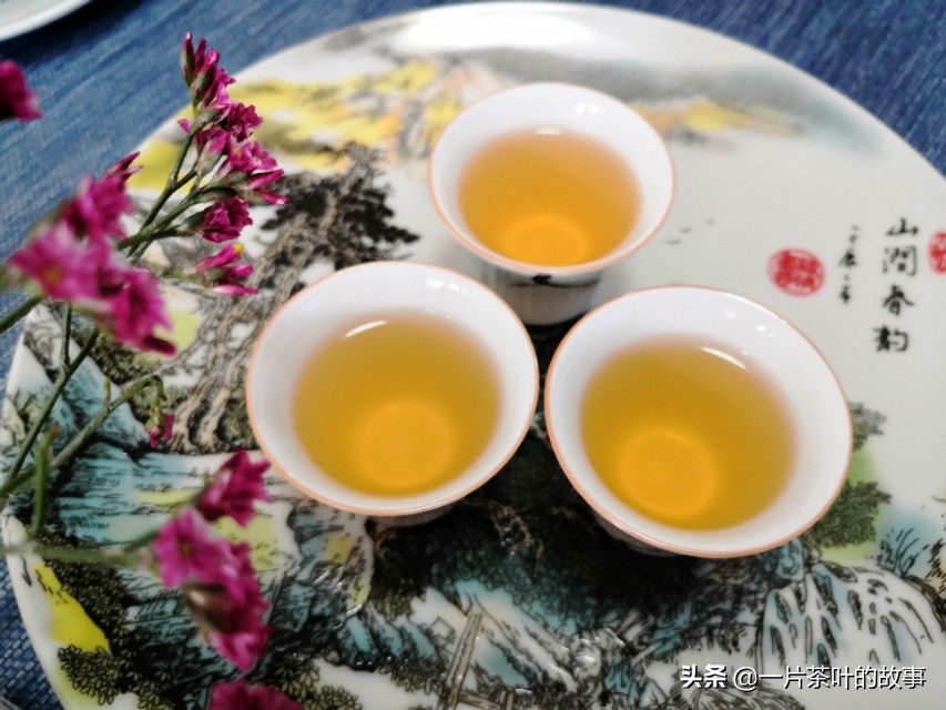 正宗青茶凤凰单丛,凤凰单丛是什么茶