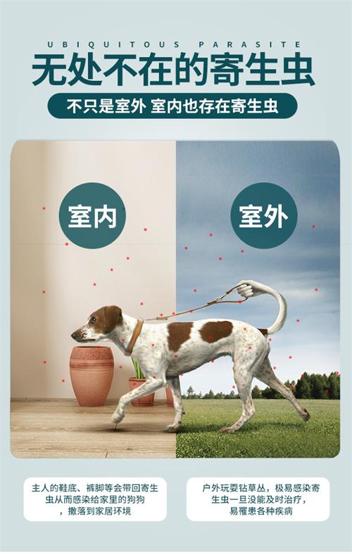 狗狗体外驱虫药口碑推荐,狗狗体内外驱虫药推荐雷米高