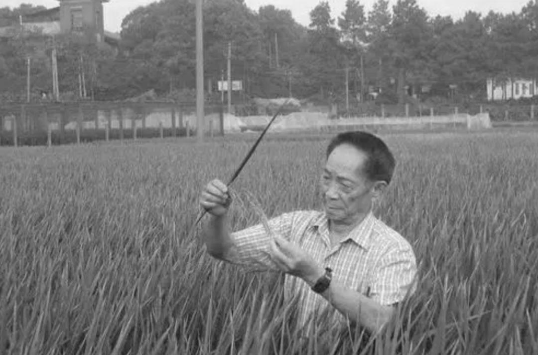 送别袁隆平群众高呼一路走好,袁隆平院士群众送别